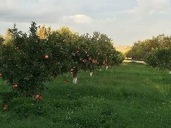 Masseria Della Volpe Casale Modica Hotel